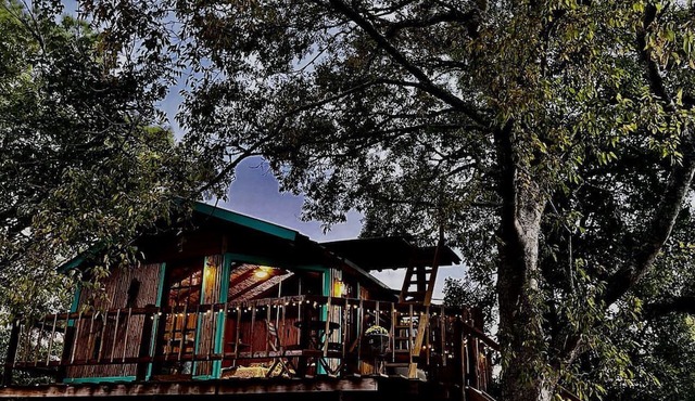 Unique Bamboo Tree House for an Unforgettable Couples Getaway by Lake Conroe, Texas