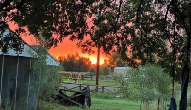 Unique Boulder County Mini-Farm Apartment