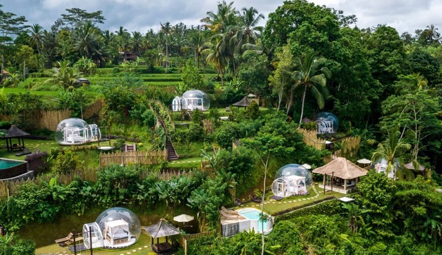 Unique Bubble Dome Ubud with private pool