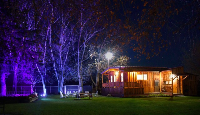 Unique Cabin Oasis: Fully-Gated, Pet-Friendly, King Bed