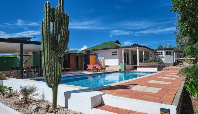 Unique experience in the nature of Aruba #1