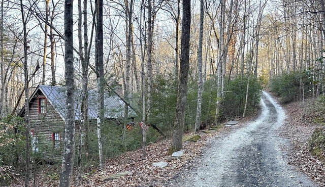 Unique Off Grid Cabin|Pet Friendly|Secluded