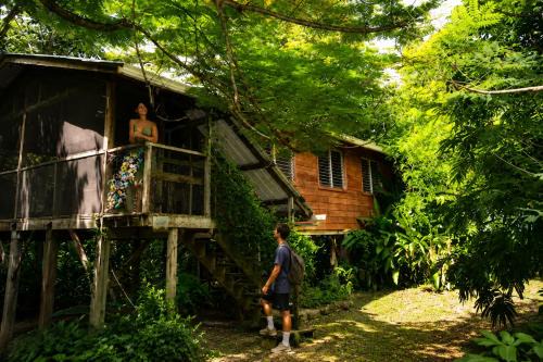 Unique Private Tree Top Cottage in Tropical Garden, Near San Ignacio Town