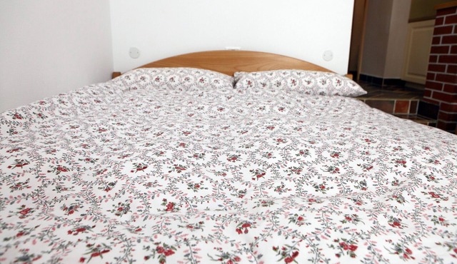 Unique Studio Apartment in Štanjel