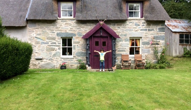 Unique thatched cottage ,restored to highest spec in gorgeous countryside