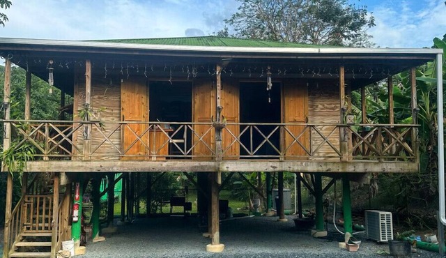 Unique Utuado Treehouse Haven with Wraparound Views