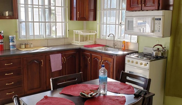 Unit 3 · Unit 3 Private Apartment - Roseau