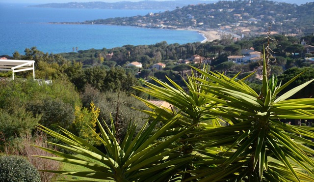 Unobstructed view of the Saint Tropez golf course