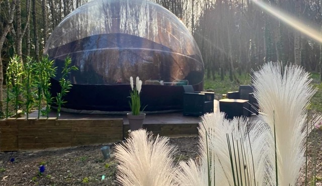 Unusual accommodation, spend a night in the Bubble Jungle under the stars