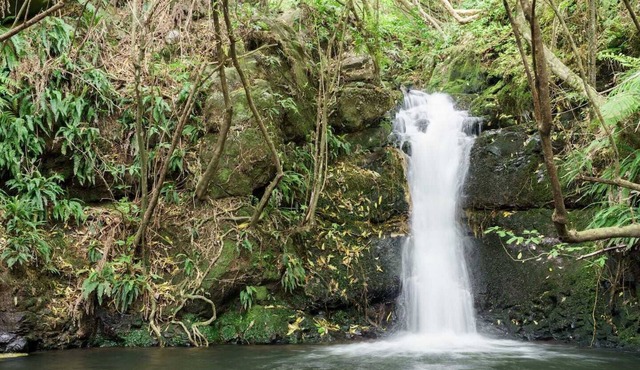 Unwind and relax amongst stunning native bush