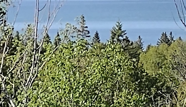 UP Mackinac Straits View Charming corporate apartment with WiFi by Saint Ignace.