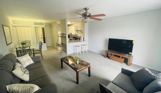 Updated 1BR Apartment | Moss Rehab | Save Monthly