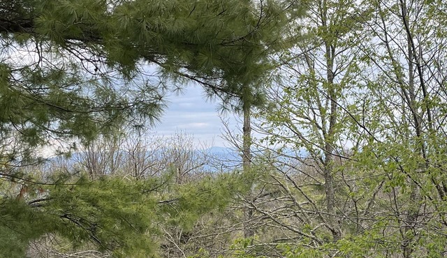 Updated condo, Walk to Beech Mountain Resort, Beautiful sunrise, Pet friendly