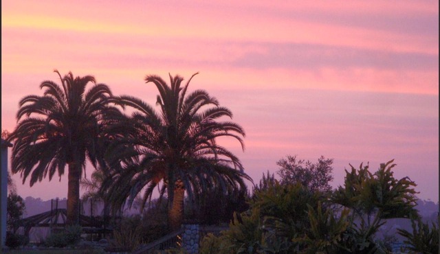 Upscale Cottage Close to Del Mar Beach
