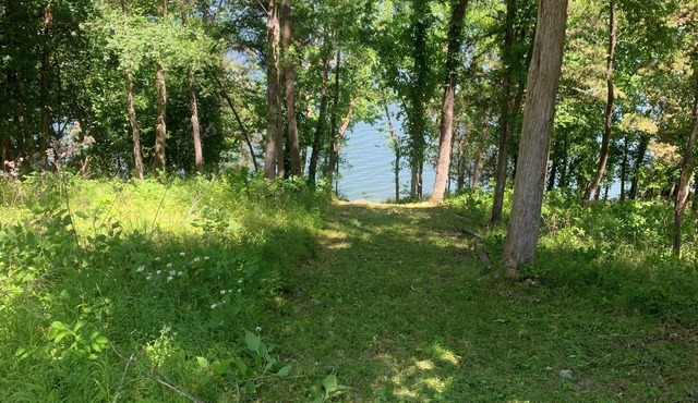 Upscale Lakefront Table Rock Cabin with nearby Launch