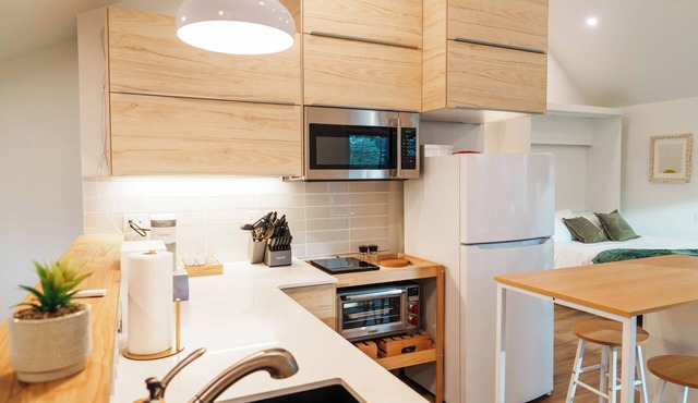 Upscale Laneway Loft Near Downtown | A/C, WiFi