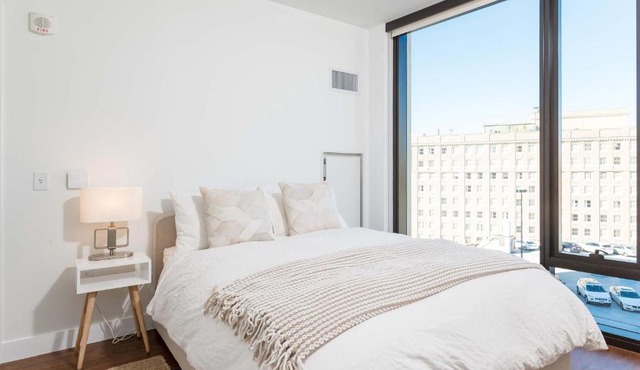 Upscale Penthouse with Gym Parking near MGH TUFTS