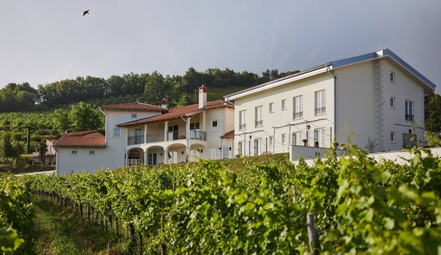 Upscale winecountry B&B