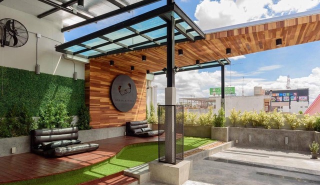 Urban Bamboo