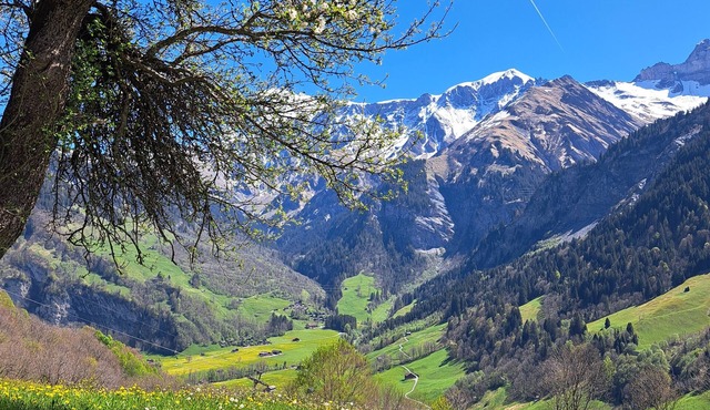 Uriges Chalet, Ideal für Familien und Gruppen bis 6 Personen
