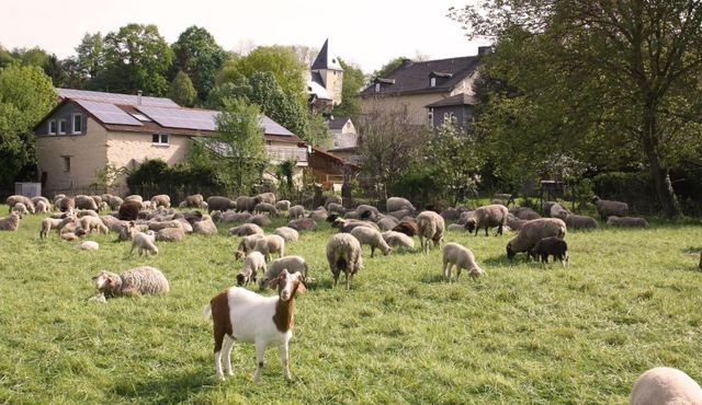 Urlaub im Kunstatelier