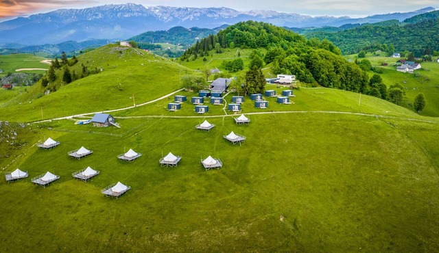 Ursa Mica Glamping Resort