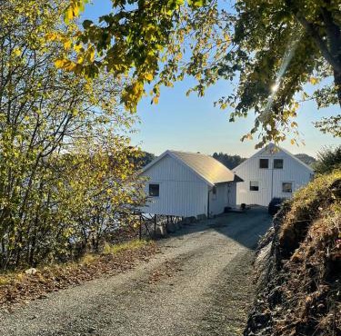 Vågen Fjordbuer - Sagbua