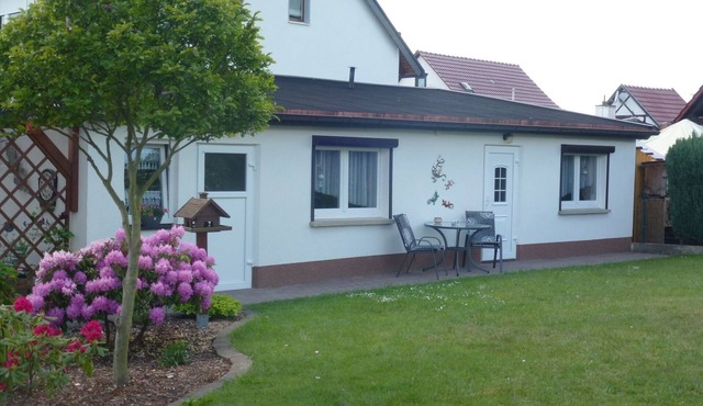 Vacation apartment/apartment for 3 guests with 50m² in Georgenthal OT Catterfeld (143485)
