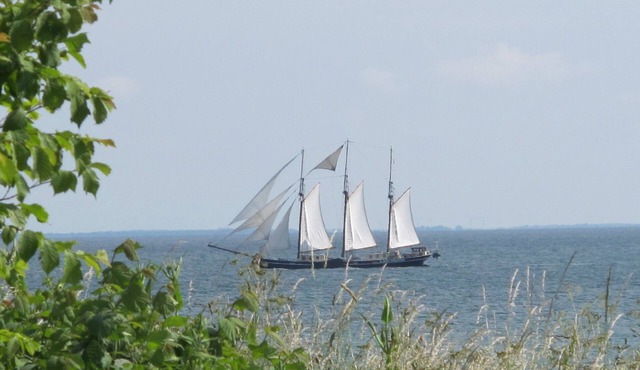 Vacation apartment/apartment for 4 guests with 50m² in Fehmarn OT Marienleuchte (60035)