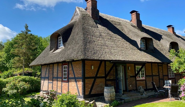 Vacation home for 4 guests with 86m² in Schönwalde am Bungsberg (300229)