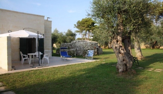 Vacation House sea and olive trees 1