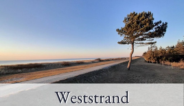 Vacation apartment/apartment for 6 guests with 120m² in Fehmarn OT Sulsdorf (157263)