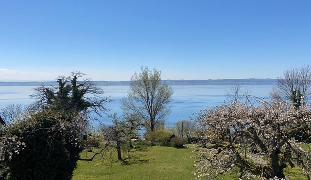 Vacation apartment Haus am See - Hagnau am Bodensee