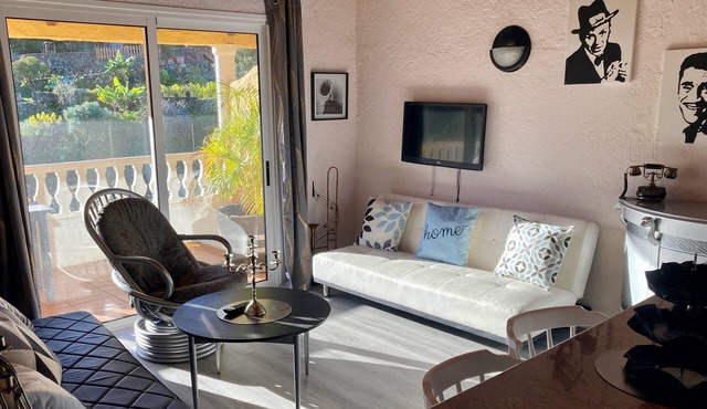 Vacation apartment/apartment for 4 guests with 45m² in Icod de los Vinos (165559)