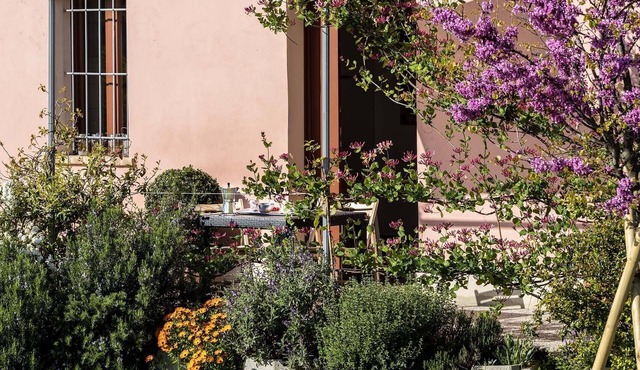 Vacation apartment/apartment for 3 guests with 38m² in Serra de' Conti (AN) (272693)
