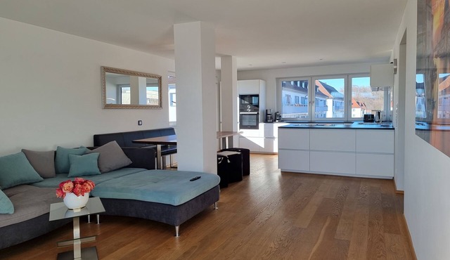 Vacation apartment/apartment for 8 guests with 119m² in Friedrichshafen (164715)