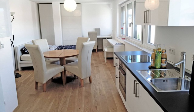 Vacation apartment/apartment for 2 guests with 33m² in Friedrichshafen (164811)
