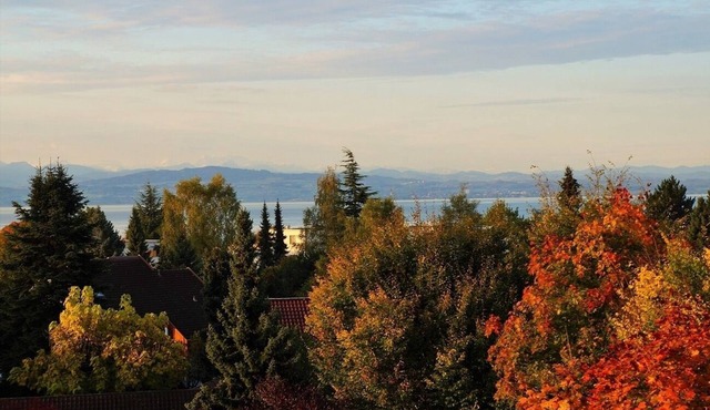 Vacation apartment/apartment for 3 guests with 60m² in Friedrichshafen (165546)