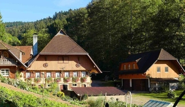 Vacation apartment/apartment for 6 guests with 100m² in Oberharmersbach (298254)