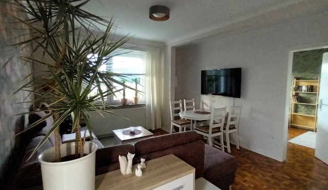 Vacation apartment at the Ratscher mountain lake