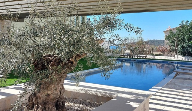 Vacation apartment Happy Olive in Sevid near Trogir Croatia