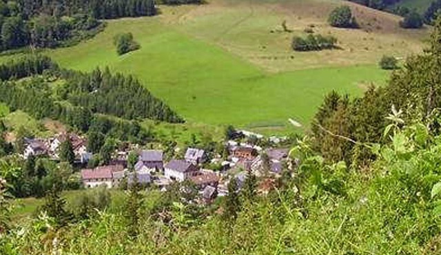 Vacation apartment 1 - Holiday home - Hotel Steiger