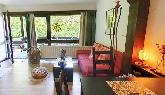 Vacation apartment, 42 sqm, 1 living/bedroom, balcony