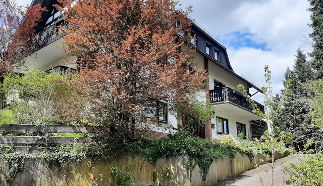 Vacation apartment/apartment for 4 guests with 74m² in Hallenberg (163503)