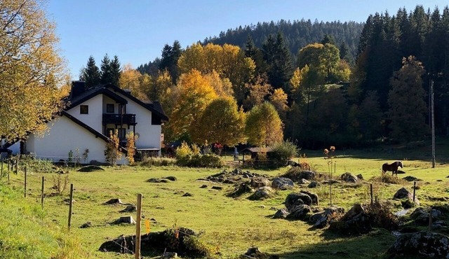 Vacation apartment/apartment for 2 guests with 35m² in Schluchsee (268615)