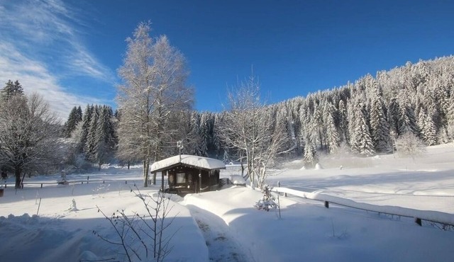 Vacation apartment/apartment for 2 guests with 30m² in Schluchsee (268616)