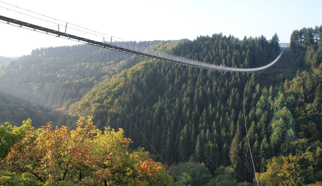 Vacation apartment Adelheid Brachtendorf Suspension rope bridge Geierlay Hunsrück Moselle, 2DZ