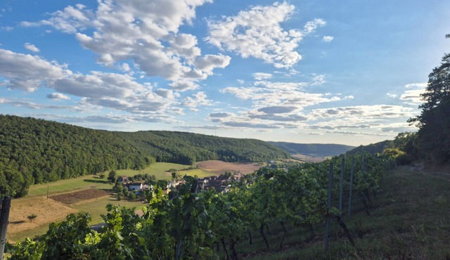 Vacation apartment "Am Weinberg" in Wirmsthal near Bad Kissingen