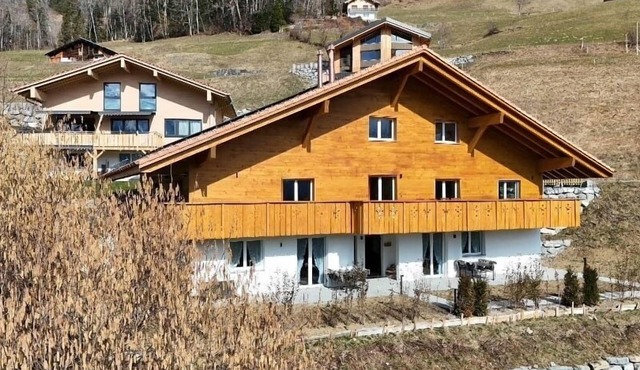 Vacation apartment/apartment for 6 guests with 73m² in Hasliberg (311931)