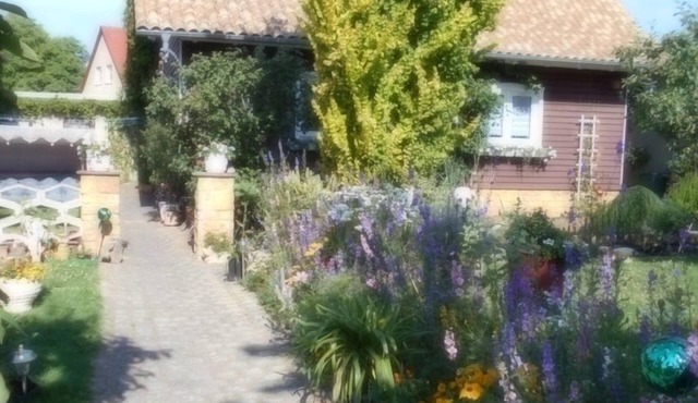Vacation apartment/apartment for 3 guests with 60m² in Dankerode (151108)
